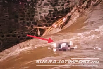 Video Jenazah Mengambang di Sungai Jember Viral di Sosmed