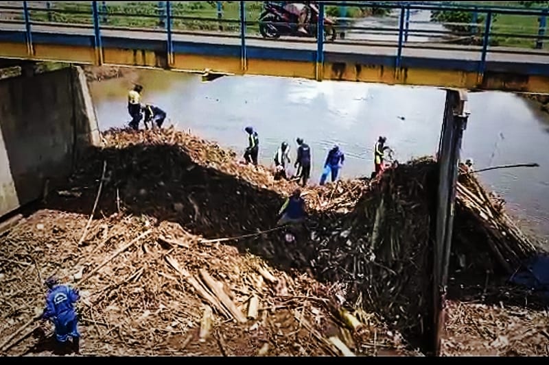 Potret Puluhan Ton Sampah yang Terbawa Banjir di Jember
