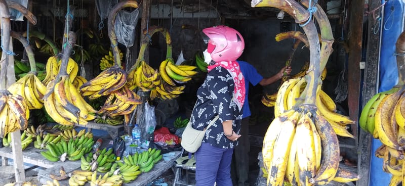 harga pisang di pasaran