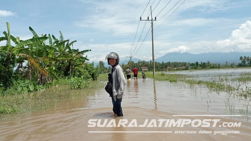 Banjir di Pakis Rowo Banyuwangi, 160 Rumah Warga Terendam
