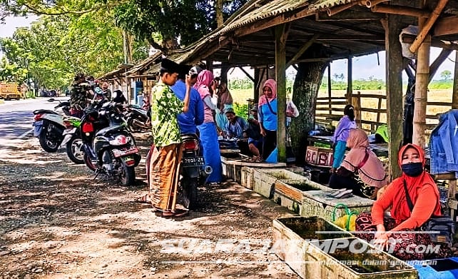 Ngabuburit Asik Sambil Belanja Ikan Air Tawar Di Pinggir Jalan Raya Jember