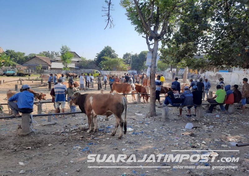 Ning Ita Pastikan Hewan Ternak di Kota Mojokerto Aman dan Sehat Dikonsumsi