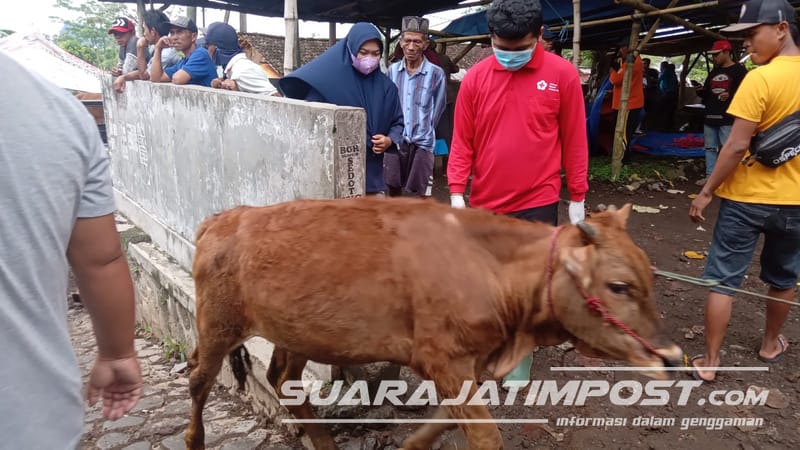 Cegah PMK, Relawan PMI Hujani Disinfektan di Pasar Hewan 