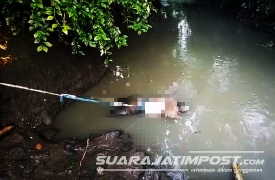 Gemparkan Warga, Mayat Tengkurap ditemukan di sungai Jember