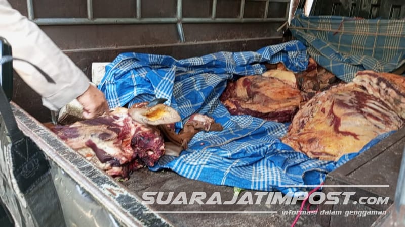 Kirim Daging Ternak Tidak Layak, Polisi Jember Ringkus Pria Asal Madura