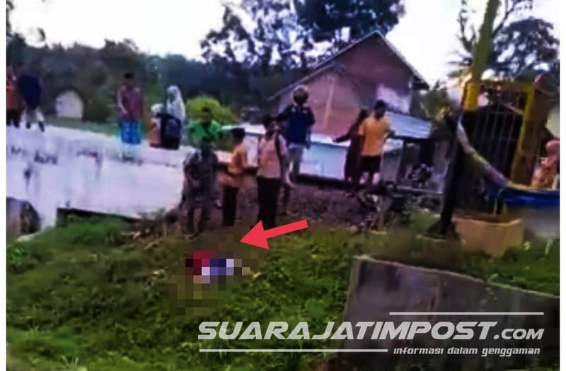 Tertabrak kereta api, Tiga Orang Tergeletak di Pinggir Sawah.