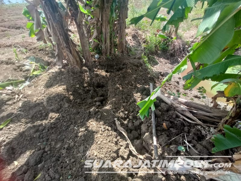 Puluhan Kilogram Sabu dan Ratusan Kardus Pil Koplo Ditemukan di Mojokerto