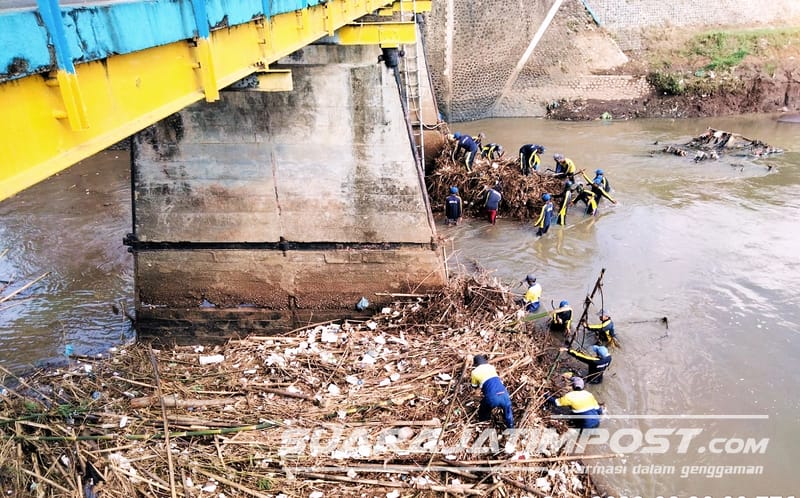 Cegah Banjir Bandang, SDA Jember Bersihkan Puluhan Ton Sampah Bambu dan Tanah 2 Kali Setahun