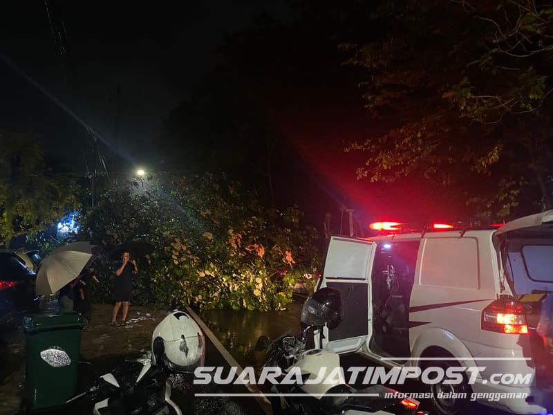 Curah Hujan Tinggi, 2 Pohon Tumbang Timpa Mobil di Kota Malang   