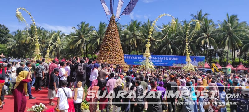 Bupati Jember Canangkan Hari Budaya, Gunungan Durian Kurang Lebih 10 Meter Di Pajang 