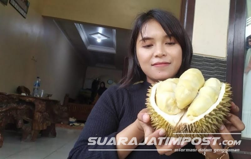 Penasaran dengan Durian Merica yang Kecil Tapi Legit, Datang Saja ke Desa Duyung Trawas Mojokerto