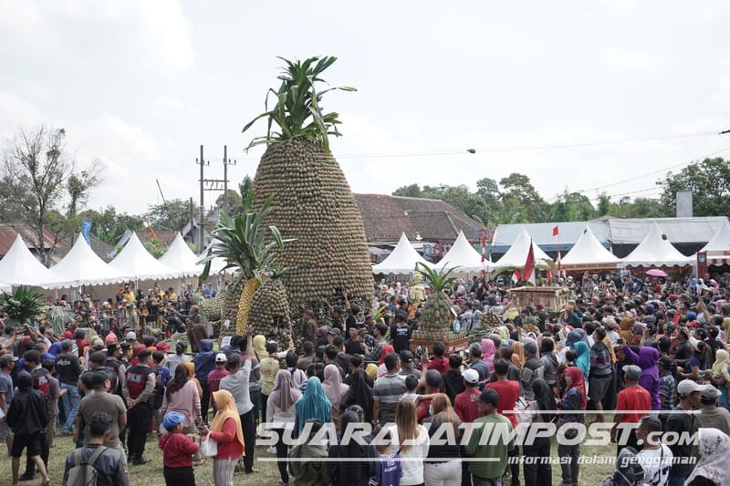 Optimalkan Potensi Nanas Mas Dhito Gelar Pineapple Festival