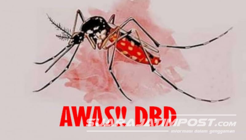 Dengue Hemorrhagic Fever Outbreak in Banyuwangi, Indonesia: Causes, Prevention, and Treatment