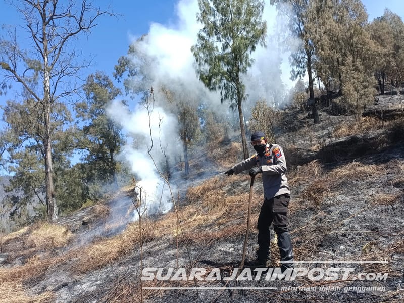 Api Kembali Bakar Hutan Lereng Arjuno Malang, Ini yang Dilakukan Kepolisian