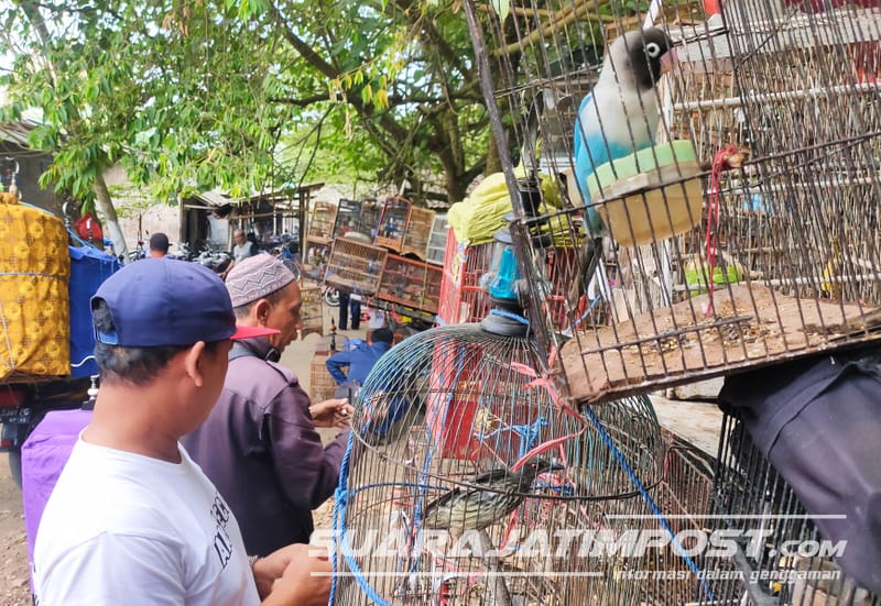 Sudah 29 Tahun Berdiri, Pasar Burung Kencong Jember Tetap Ramai Pembeli