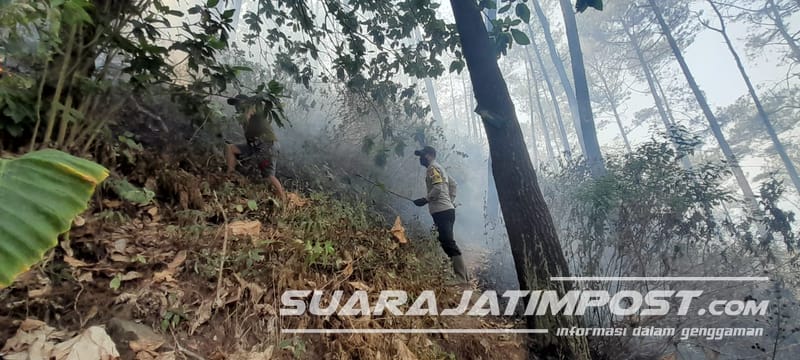 Padamkan Kebakaran Hutan di Watu Gede, Ini yang Dilakukan Polres Malang
