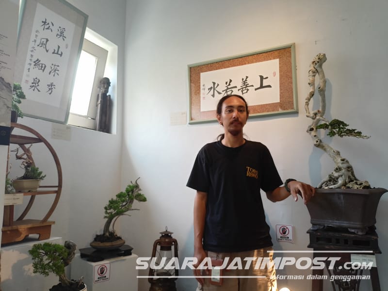 Pameran Bonsai Glundung Semprong Digelar di Surabaya