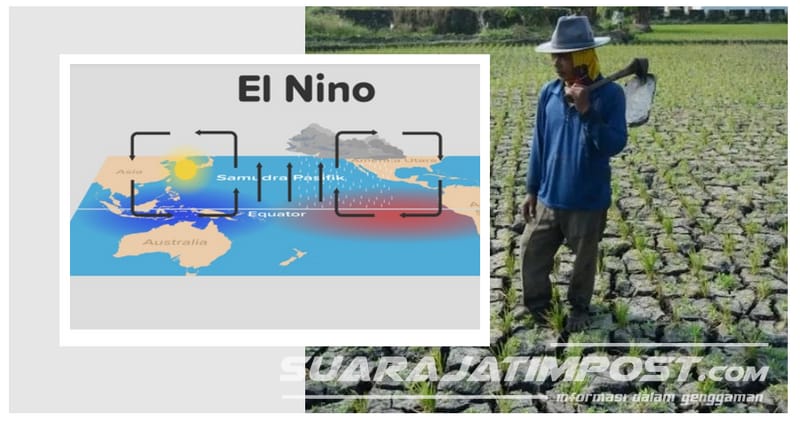 Petani Harus Tahu, Ini Dampak El Nino di Sektor Pertanian